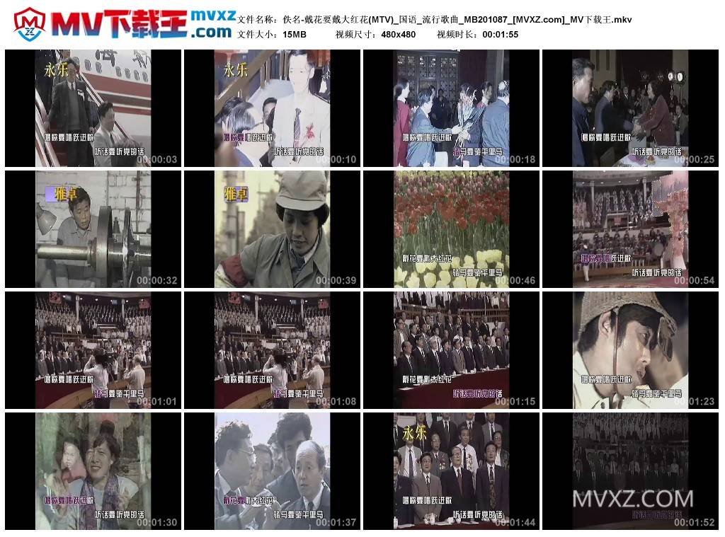 佚名-戴花要戴大红花(MTV)_国语_流行歌曲_MB201087